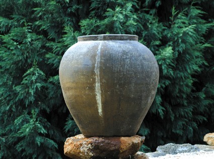 Java - Gardini Picanti